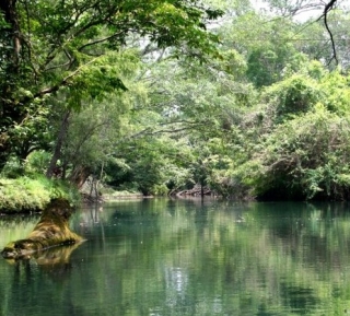 El rio